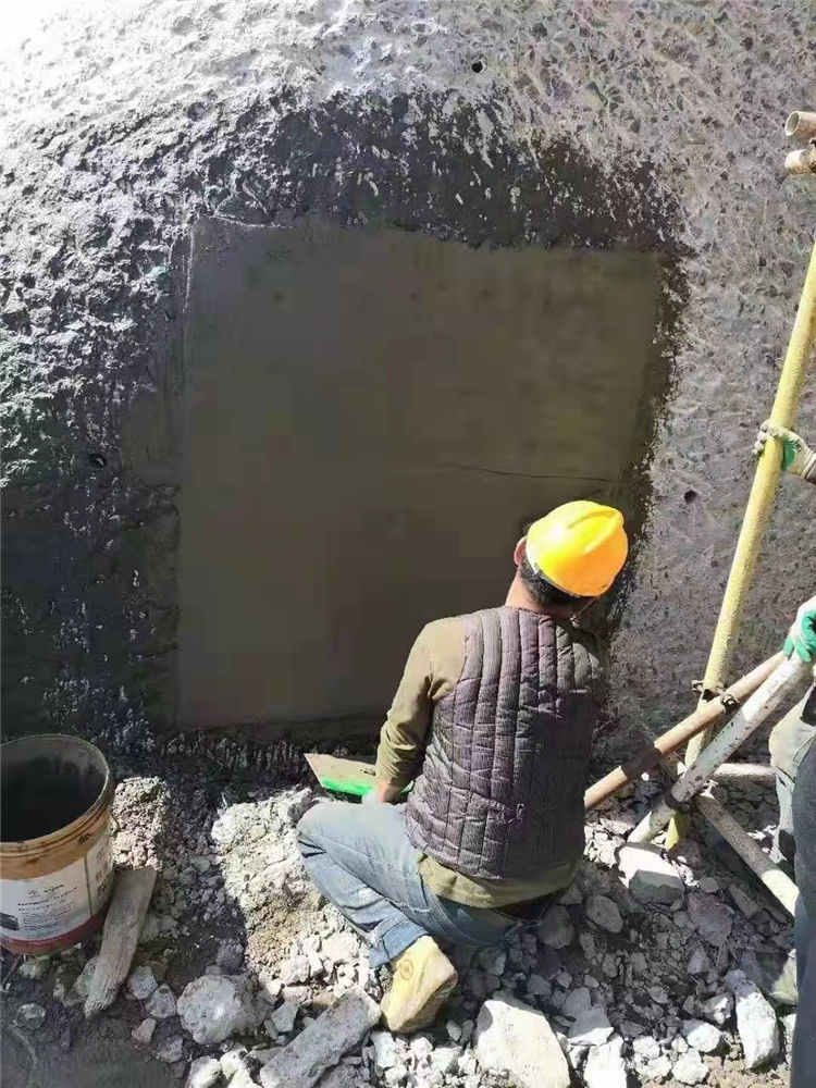 1645587101937336.jpg 1645587101937336.jpg